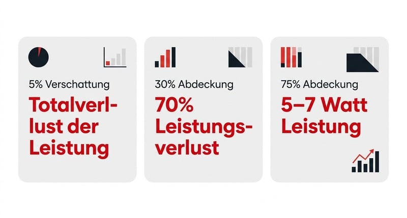 Verschattung: 70% Leistungsverlust bei 30% Abdeckung
